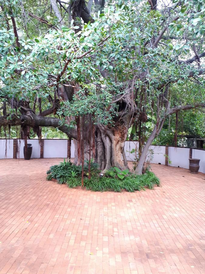 Bush Lovers Lodge โมดิมอเลอ ภายนอก รูปภาพ